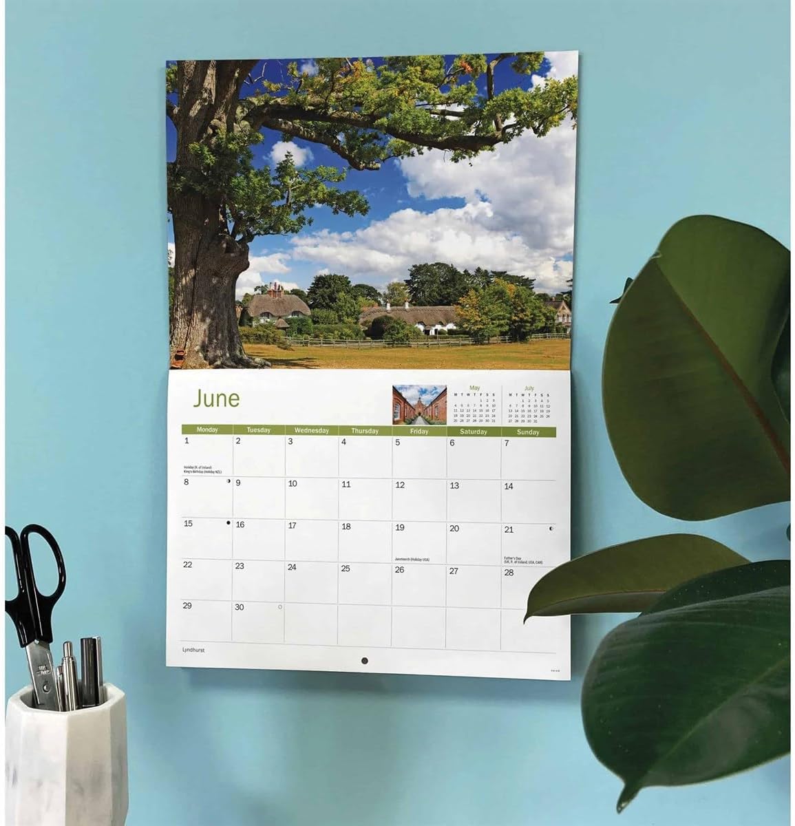 New Forest 2026 A4 Wall Calendar