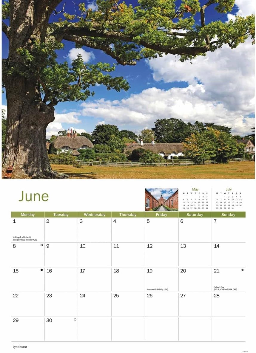 New Forest 2026 A4 Wall Calendar