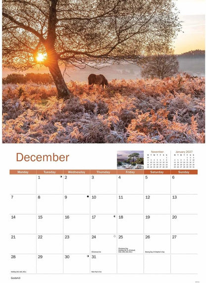New Forest 2026 A4 Wall Calendar