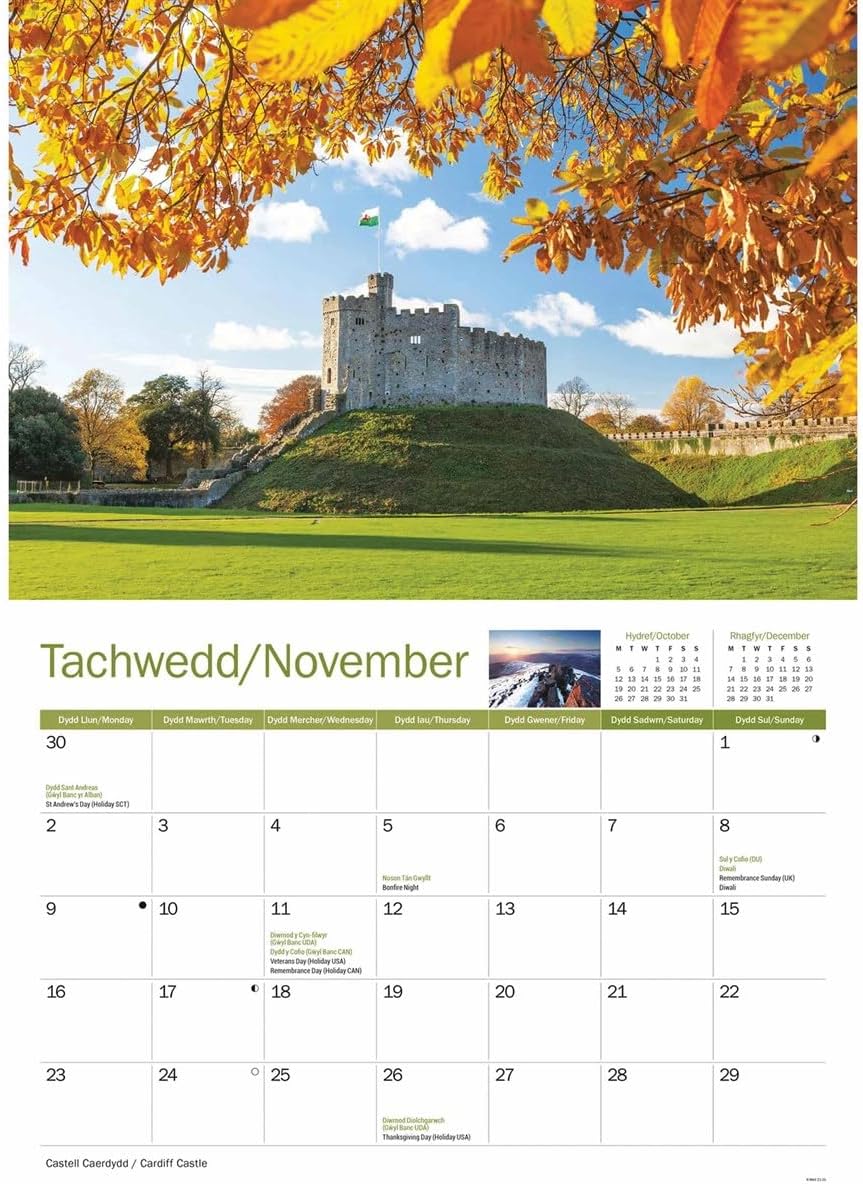 Carousel Worldwide, South Wales 2026 A4 Wall Calendar