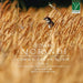 Complete Organ Works Vol.6