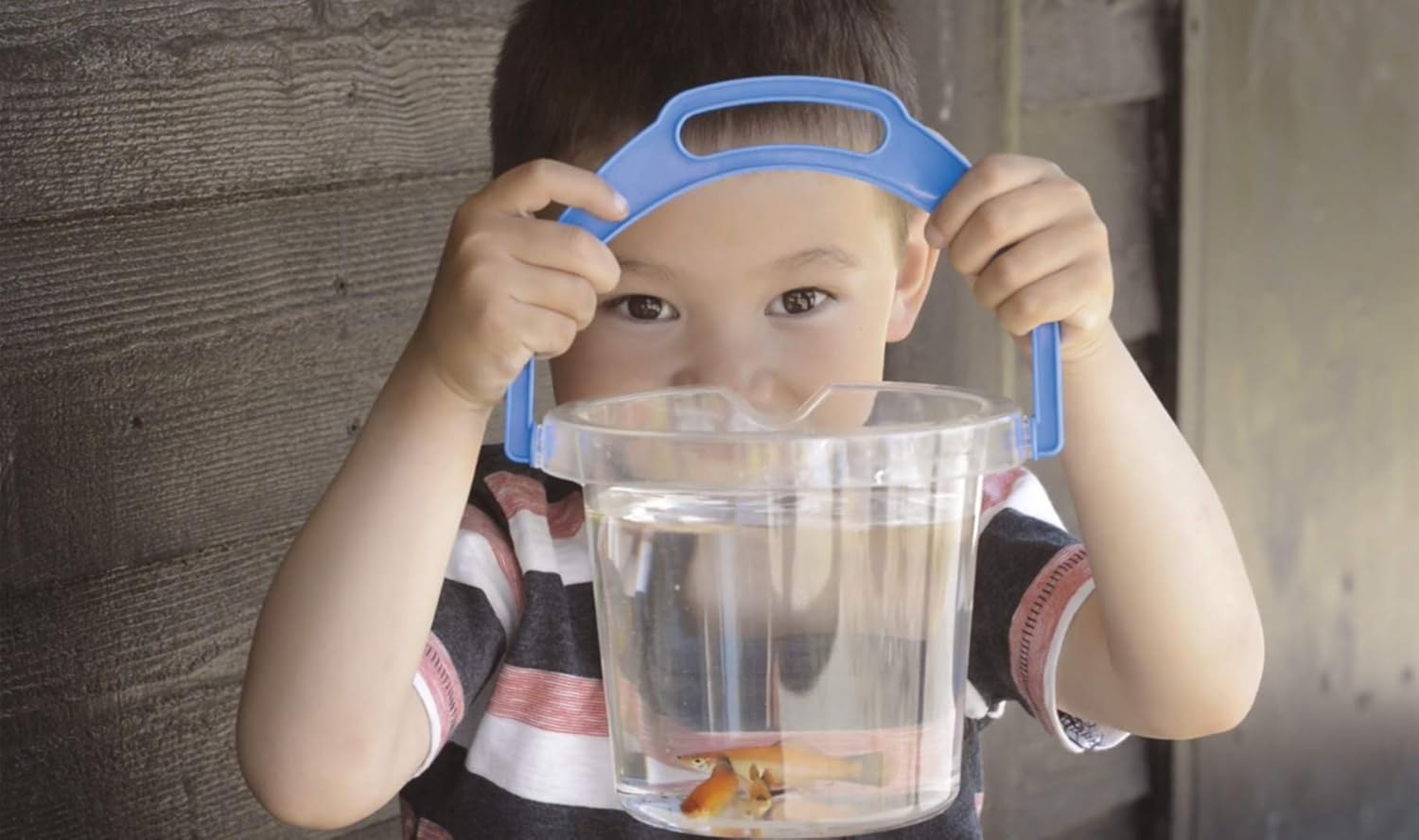 DANTOY CLEAR BUCKET
