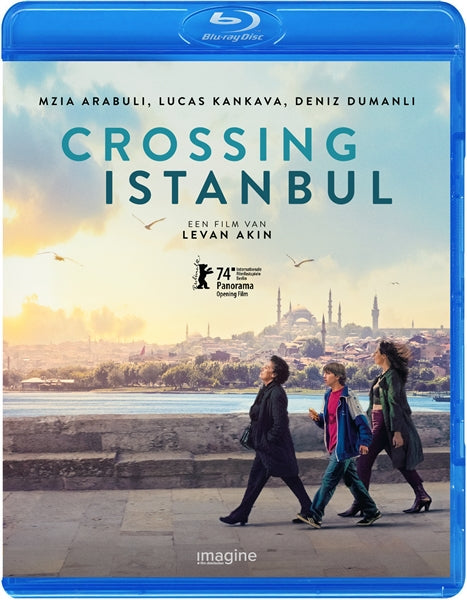 Crossing Istanbul