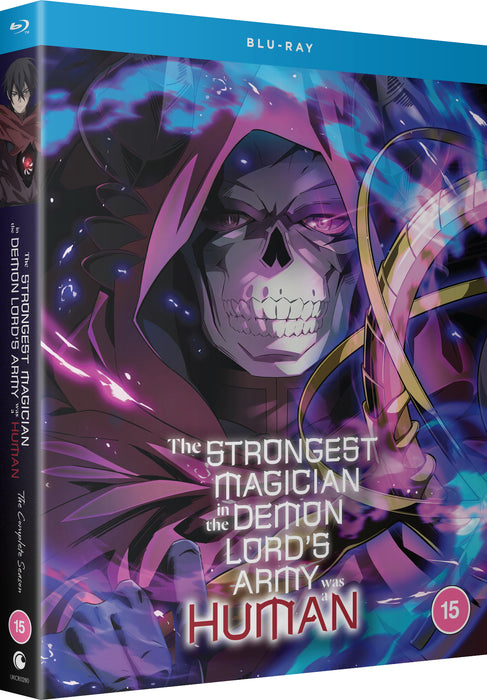 The Strongest Magician in the Demon Lord's Army Was a Human