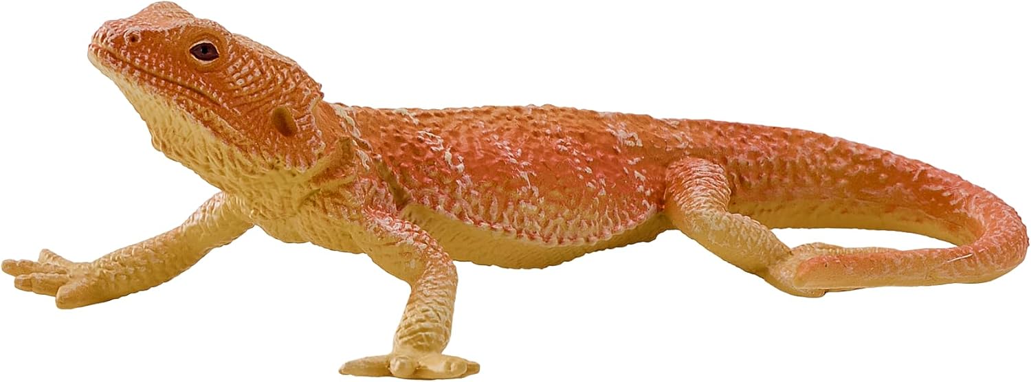 Mojo - Mojo Wildlife Baardagaam - 381096