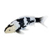 Mojo - Mojo Sealife Koi Karper - Shiro Utsuri Koi - 381102