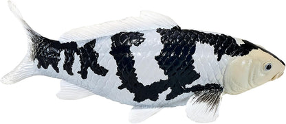 Mojo - Mojo Sealife Koi Karper - Shiro Utsuri Koi - 381102