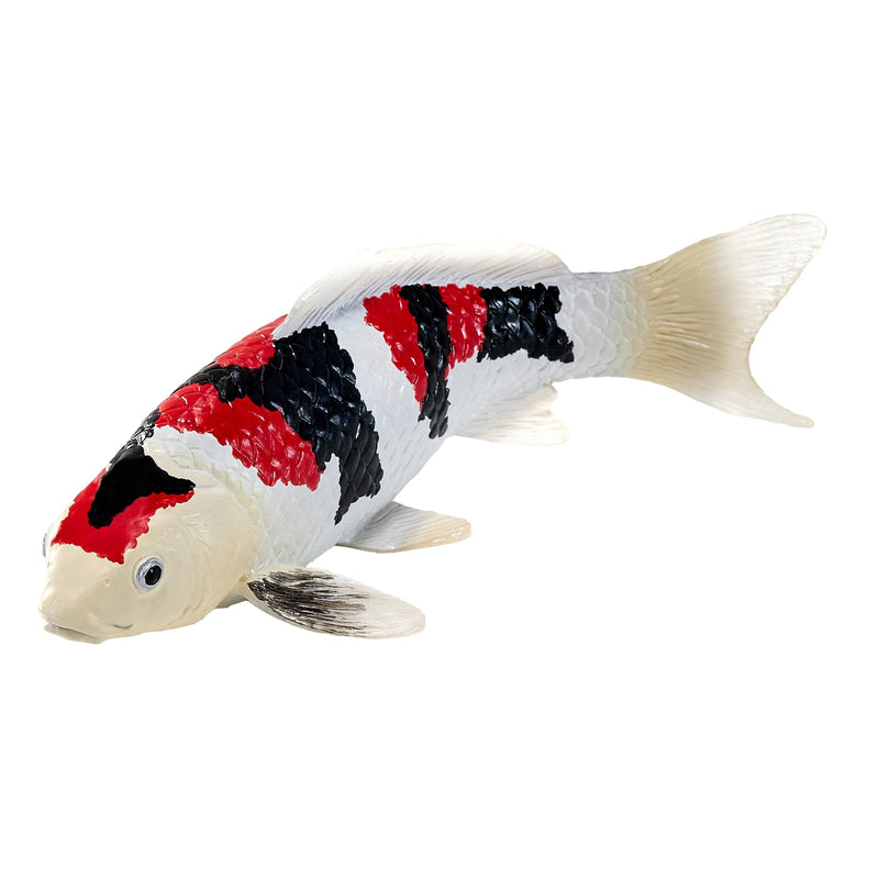MOJO Farmland Koi Karper - Showa Sanshoku Koi (driekleur) 381103