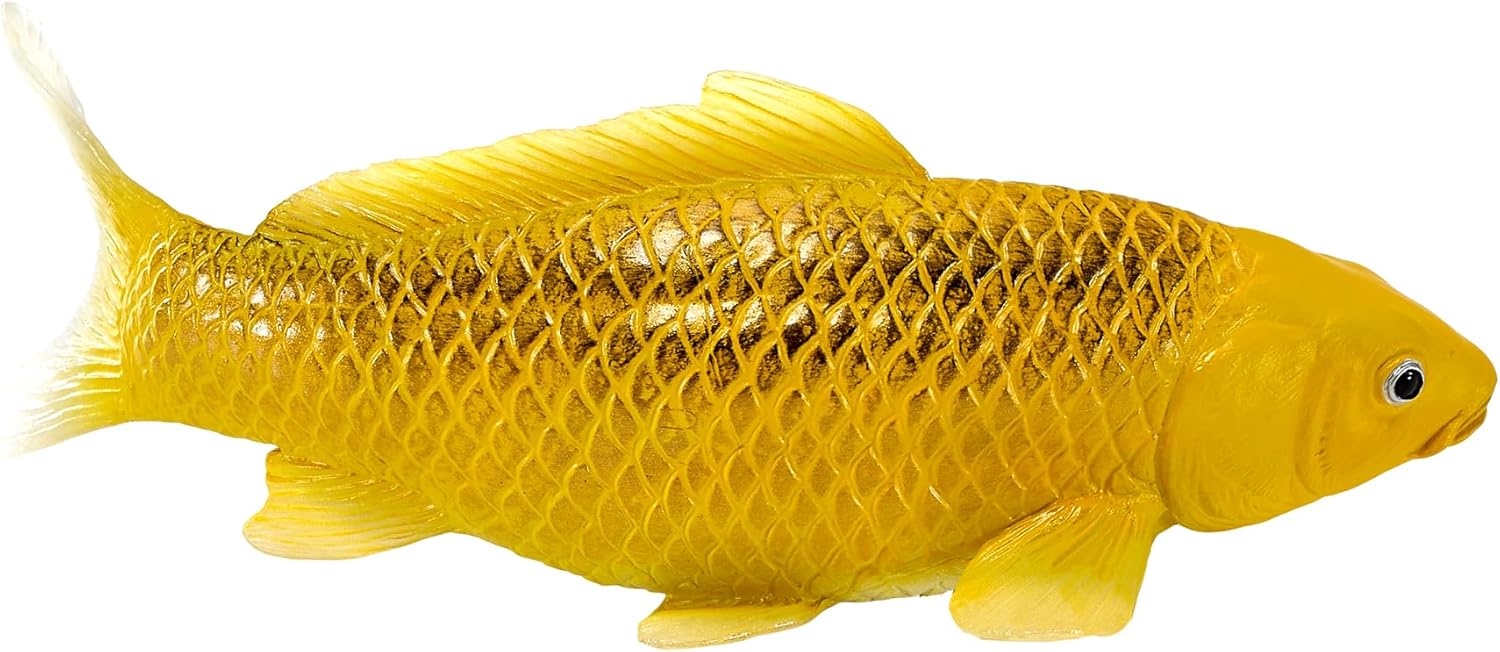 MOJO Farmland Koi Karper - Kin Matsuba Koi (oudkleurig) 381105