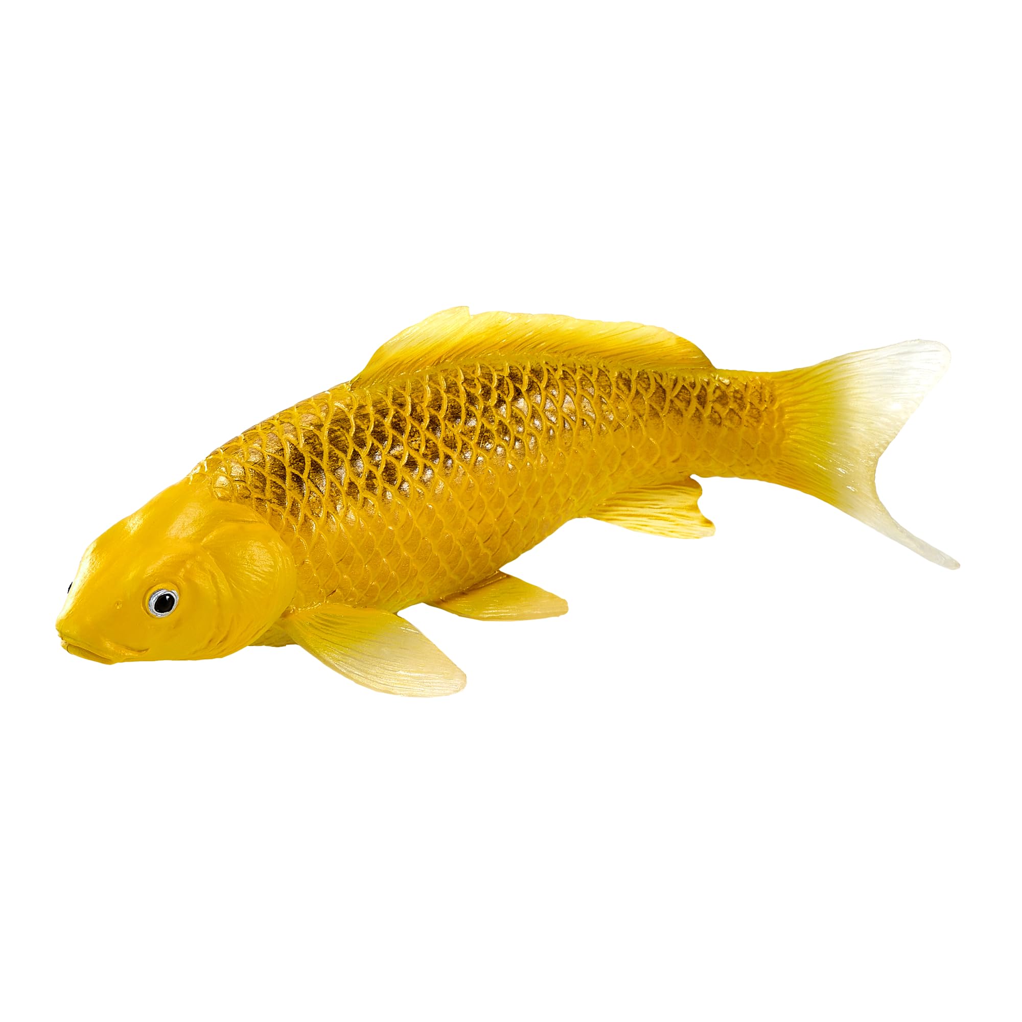 MOJO Farmland Koi Karper - Kin Matsuba Koi (oudkleurig) 381105