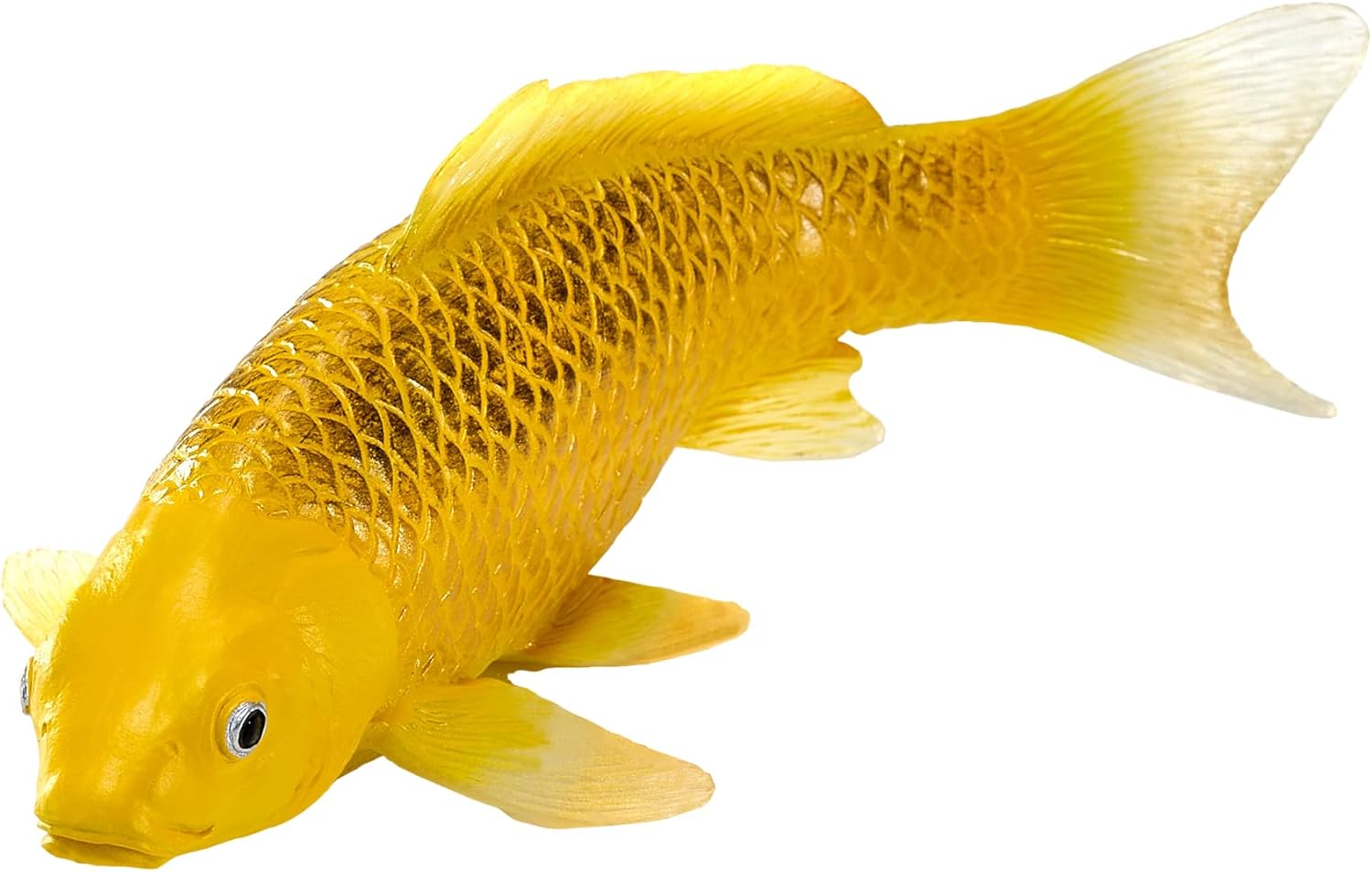 MOJO Farmland Koi Karper - Kin Matsuba Koi (oudkleurig) 381105