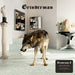 Grinderman 2