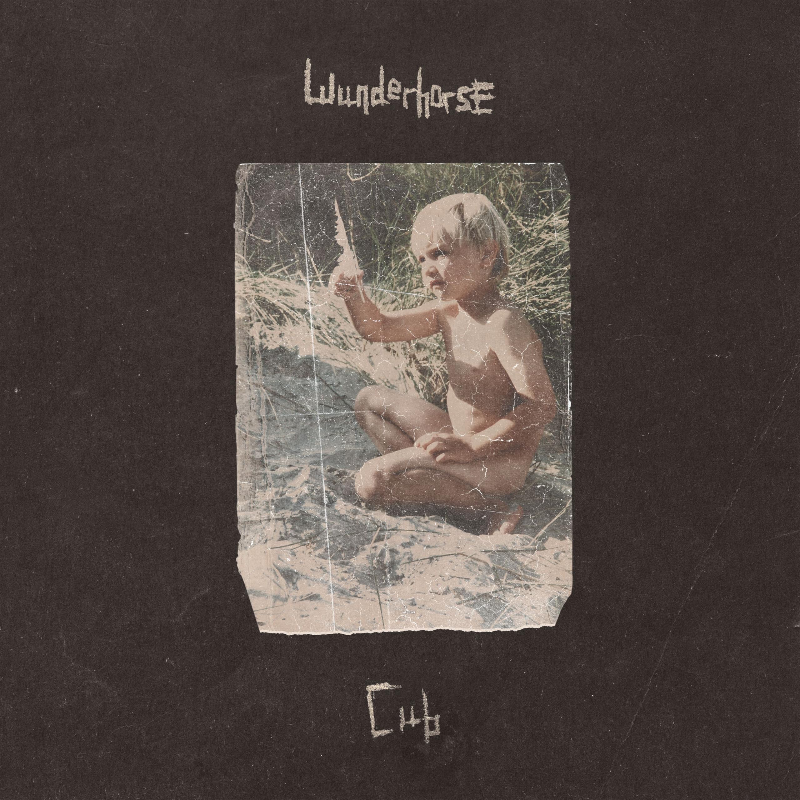 Vinile Wunderhorse - Cub (Crystal Clear Vinyl)