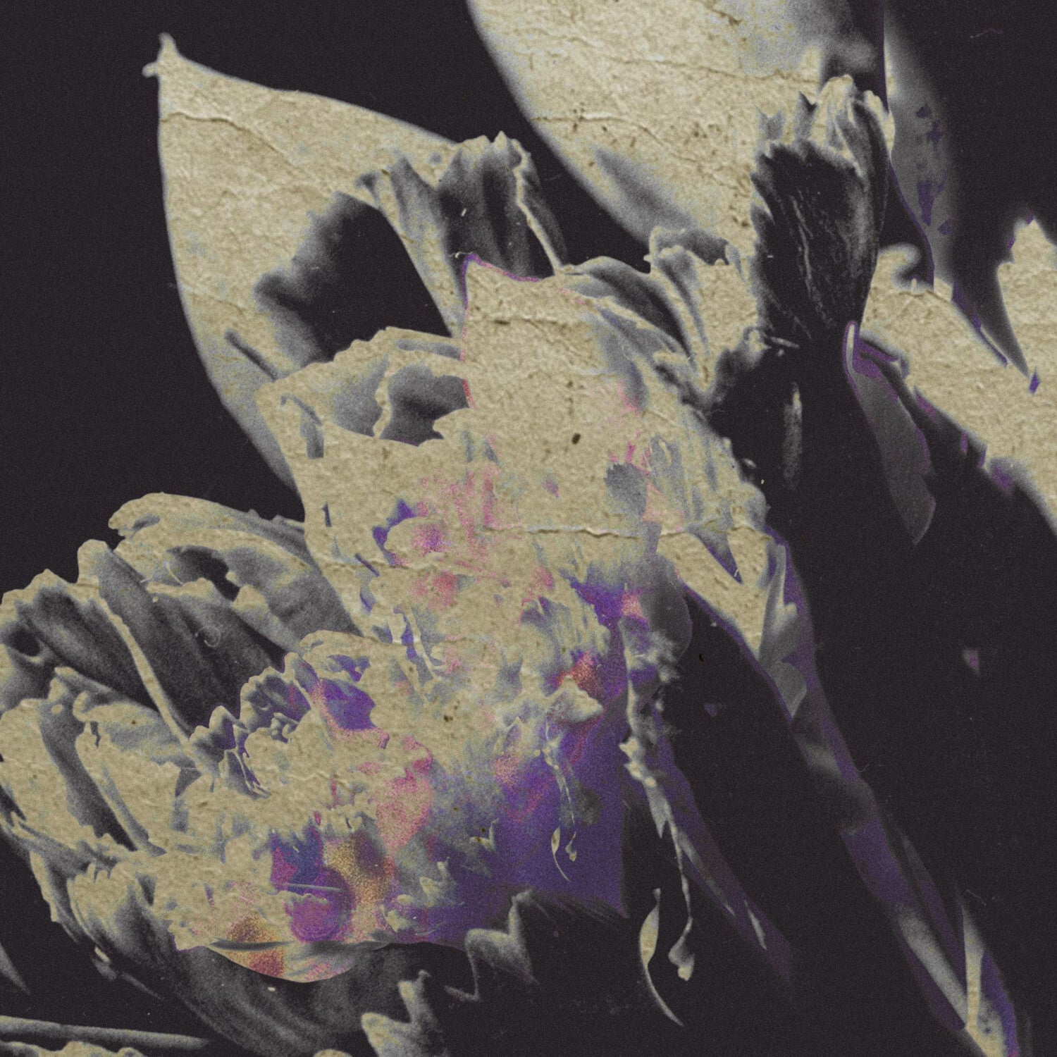 Traversée 04: Moving Silhouettes