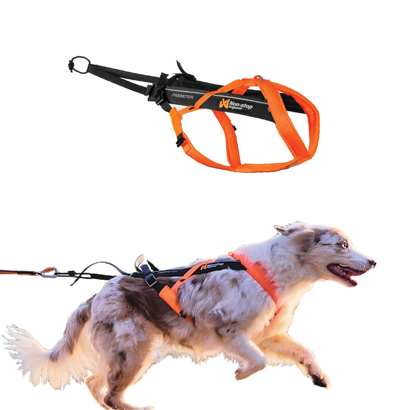 Non-Stop Dogwear Freemotion Harness 5.0 (Black/Orange) Size 4 /Merch (FN)