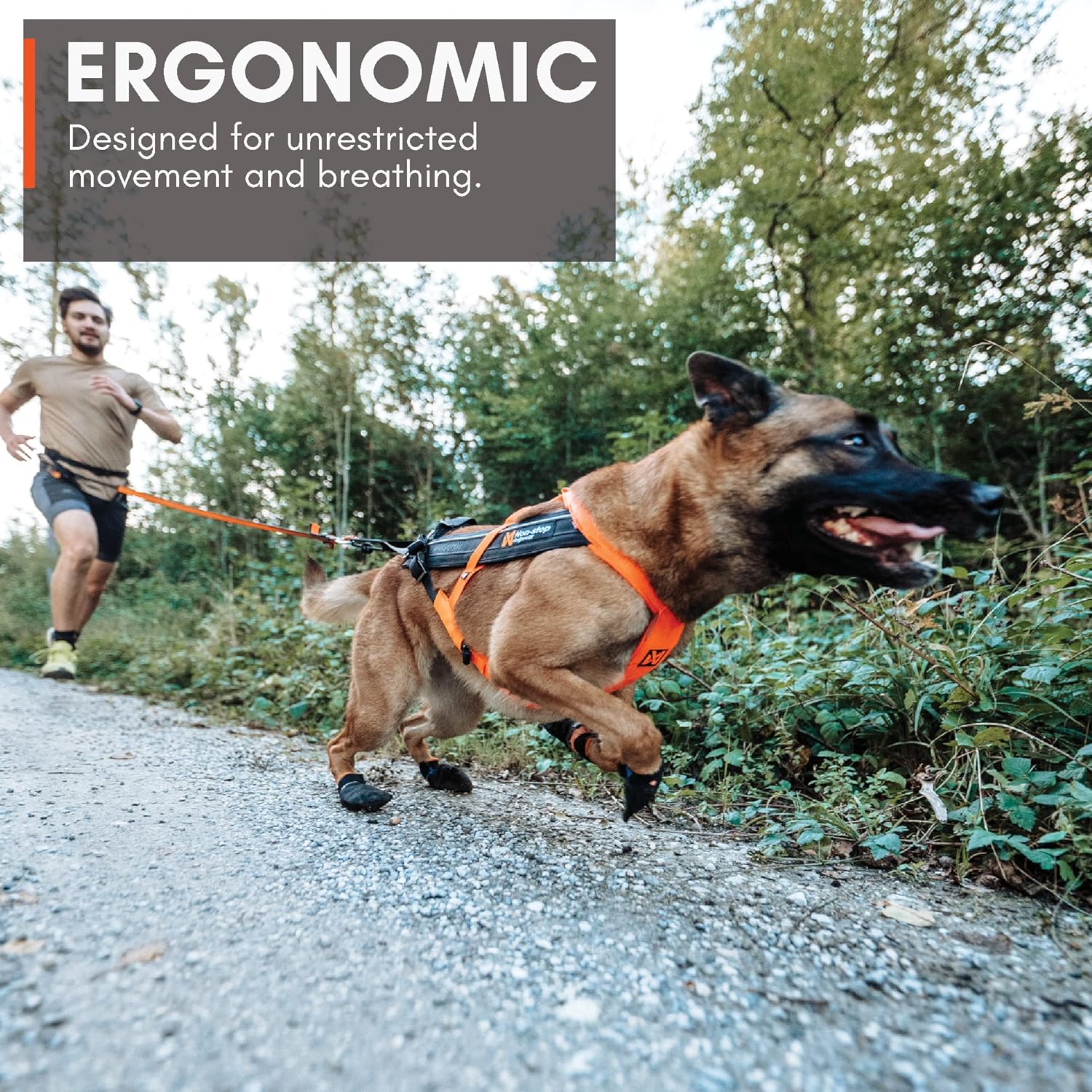 Non-Stop Dogwear Freemotion Harness 5.0 (Black/Orange) Size 4 /Merch (FN)