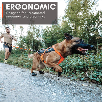 Non-Stop Dogwear Freemotion Harness 5.0 (Black/Orange) Size 4 /Merch (FN)