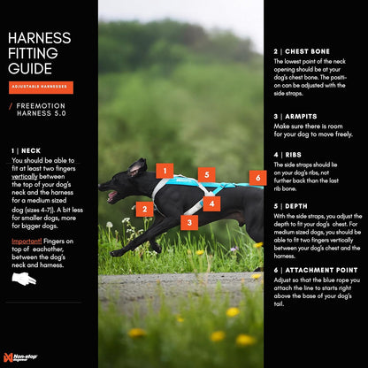 Non-Stop Dogwear Freemotion Harness 5.0 (Black/Orange) Size 4 /Merch (FN)