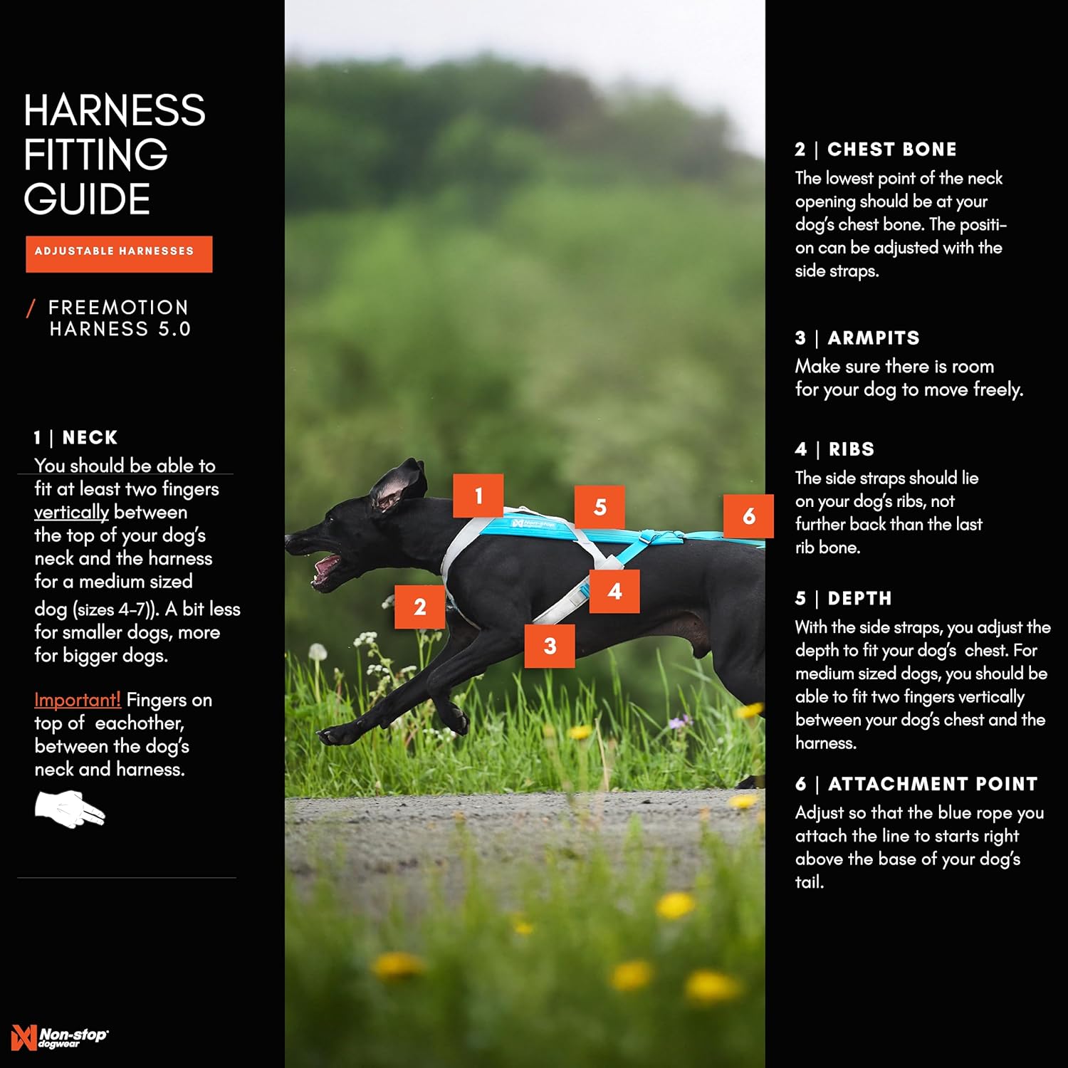 Non-Stop Dogwear Freemotion Harness 5.0 (Black/Orange) Size 7 /Merch (FN)