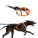 Non-Stop Dogwear Freemotion Harness 5.0 (Black/Orange) Size 7 /Merch (FN)