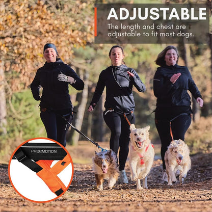 Non-Stop Dogwear Freemotion Harness 5.0 (Black/Orange) Size 7 /Merch (FN)