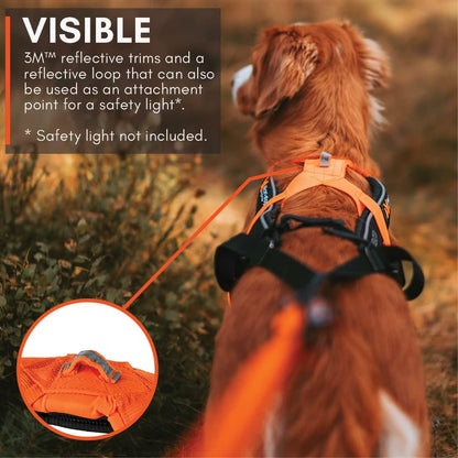 Non-Stop Dogwear Freemotion Harness 5.0 (Black/Orange) Size 7 /Merch (FN)