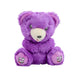 Mood Bears® Silly Bear (Mini) – Purple Teddy Bear for Kids & Adults, Emotional Support Plush for Lightening Moods & Sharing Laughter