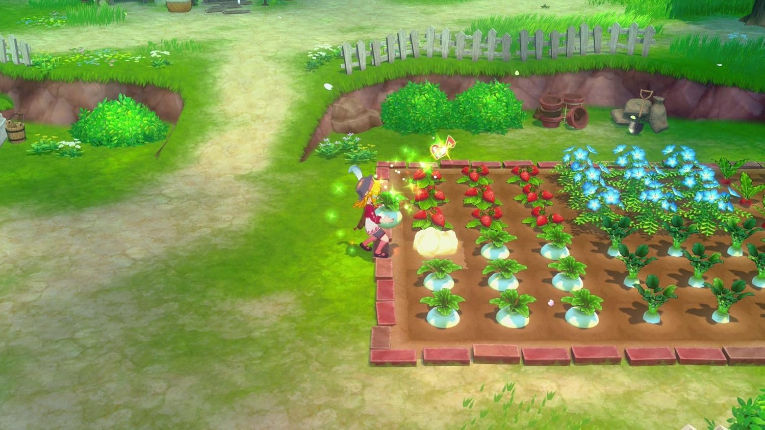 Story of Seasons: Grand Bazaar Limited Edition - Switch