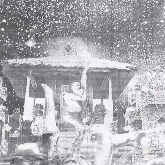 Snakinist Sand Form/No Jaw Nite Rights