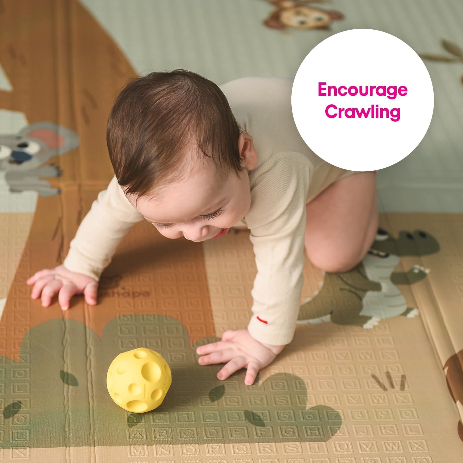 Edushape Sensorische ballen voor baby's, levendige en kleurrijke babyballen en unieke babybal, verbeteren de grove motorische vaardigheden voor kinderen vanaf 6 maanden