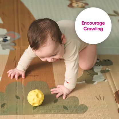 Edushape Sensorische ballen voor baby's, levendige en kleurrijke babyballen en unieke babybal, verbeteren de grove motorische vaardigheden voor kinderen vanaf 6 maanden