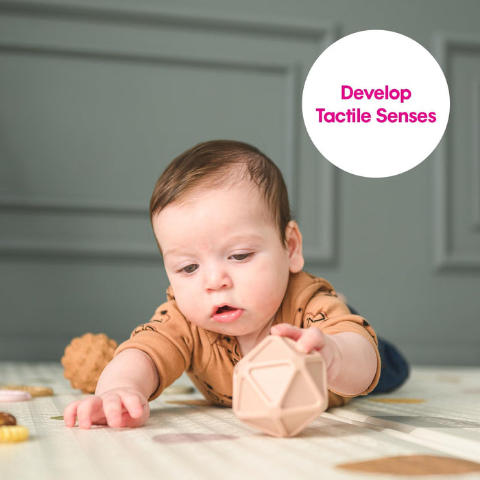 Edushape Sensorische ballen voor baby's, levendige en kleurrijke babyballen en unieke babybal, verbeteren de grove motorische vaardigheden voor kinderen vanaf 6 maanden