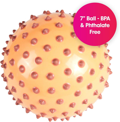 Edushape La balle sensorielle originale pour bébé – Balle de 17,8 cm qui aide à améliorer la motricité globale des enfants âgés de 6 mois et plus – Balle vibrante, colorée et unique pour tout-petits