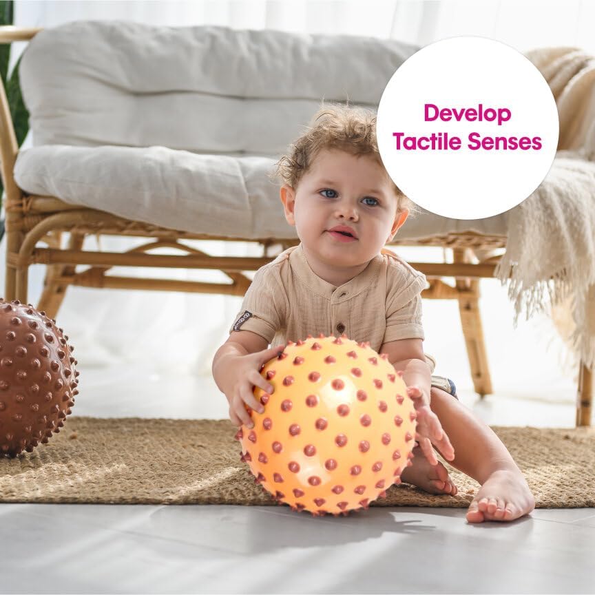 Edushape Originele sensorische bal - 17,8 cm babybal voor de ontwikkeling van grove motorische vaardigheden bij kinderen vanaf 6 maanden - levendig, kleurrijk en uniek