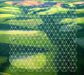 Fields