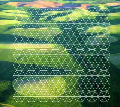 Fields