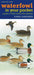 Waterfowl in Your Pocket: A Guide to Water Birds of the Midwest (Bur Oak Guide