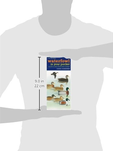 Waterfowl in Your Pocket: A Guide to Water Birds of the Midwest (Bur Oak Guide