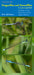 Dragonflies and Damselflies in Your Pocket: A Guide to the Odonates of the Upper Midwest (Bur Oak Guide