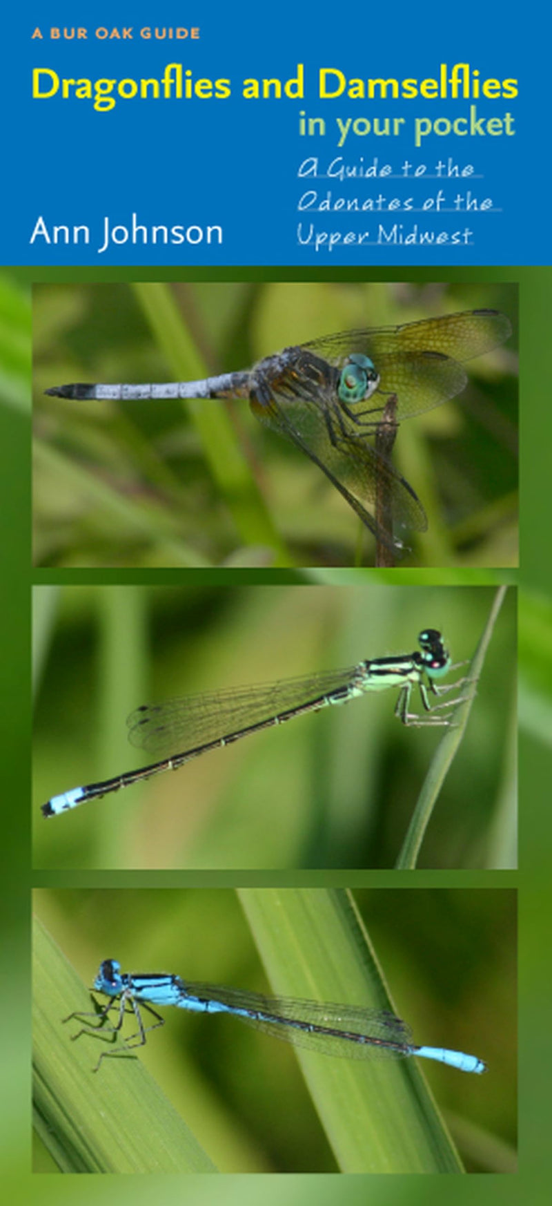 Dragonflies and Damselflies in Your Pocket: A Guide to the Odonates of the Upper Midwest (Bur Oak Guide
