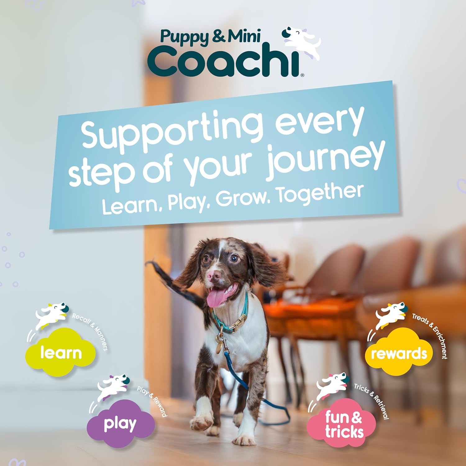 Coachi Puppy & Mini Tuggi Tug - Great for Tug & Play, Strong Dog Toy, Fun Reward Training, Great for Recall, Interrupt Biting & Chewing. Ideal For Agility, Suitable for Small Dogs & Puppies