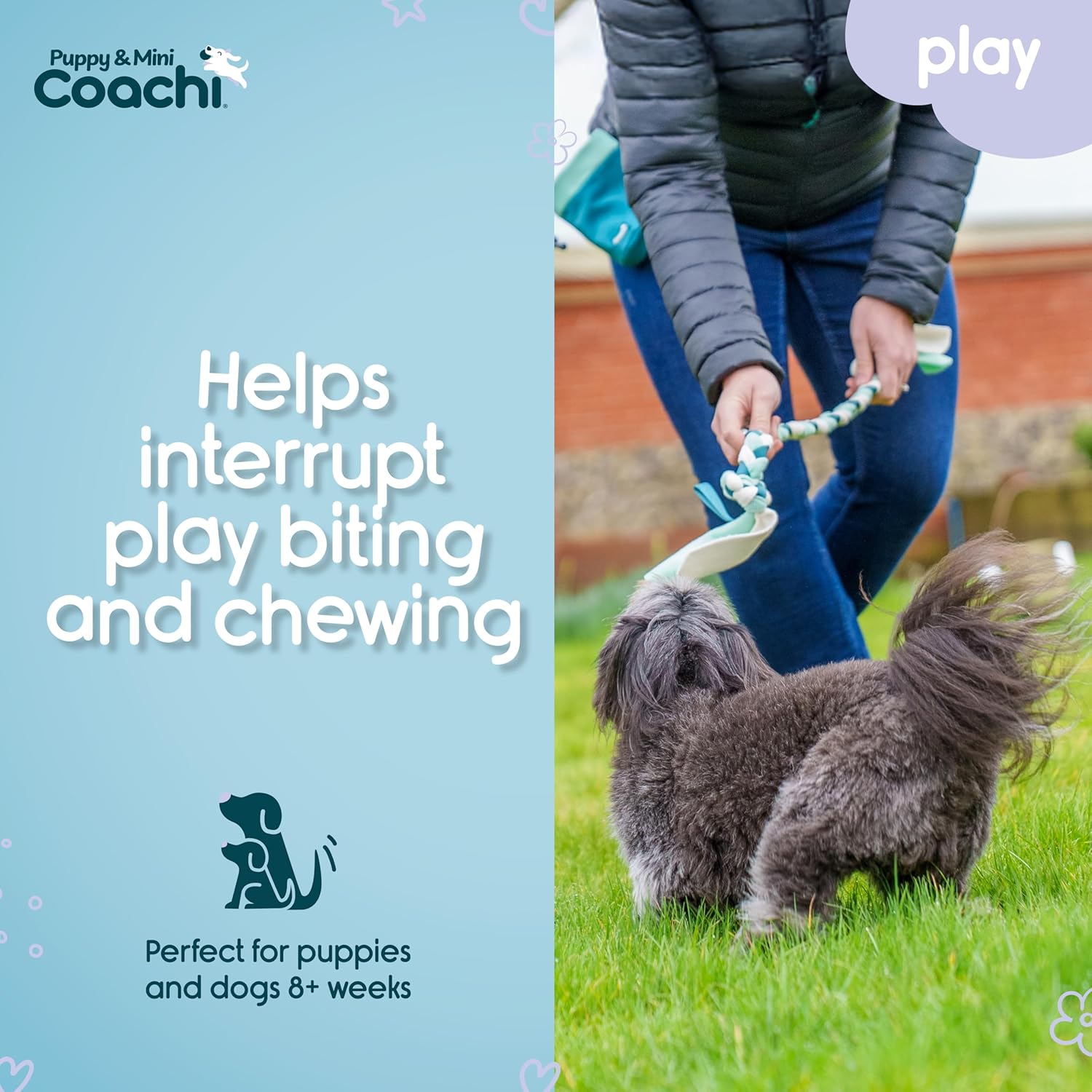 Coachi Puppy & Mini Tuggi Tug - Great for Tug & Play, Strong Dog Toy, Fun Reward Training, Great for Recall, Interrupt Biting & Chewing. Ideal For Agility, Suitable for Small Dogs & Puppies