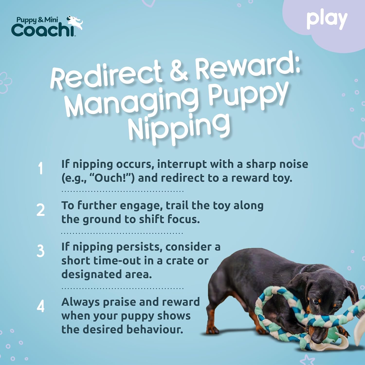 Coachi Puppy & Mini Tuggi Tug - Great for Tug & Play, Strong Dog Toy, Fun Reward Training, Great for Recall, Interrupt Biting & Chewing. Ideal For Agility, Suitable for Small Dogs & Puppies