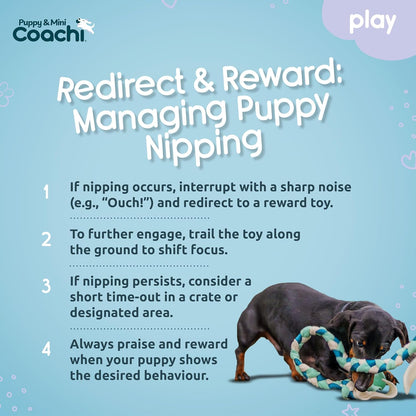 Coachi Puppy & Mini Tuggi Tug - Great for Tug & Play, Strong Dog Toy, Fun Reward Training, Great for Recall, Interrupt Biting & Chewing. Ideal For Agility, Suitable for Small Dogs & Puppies