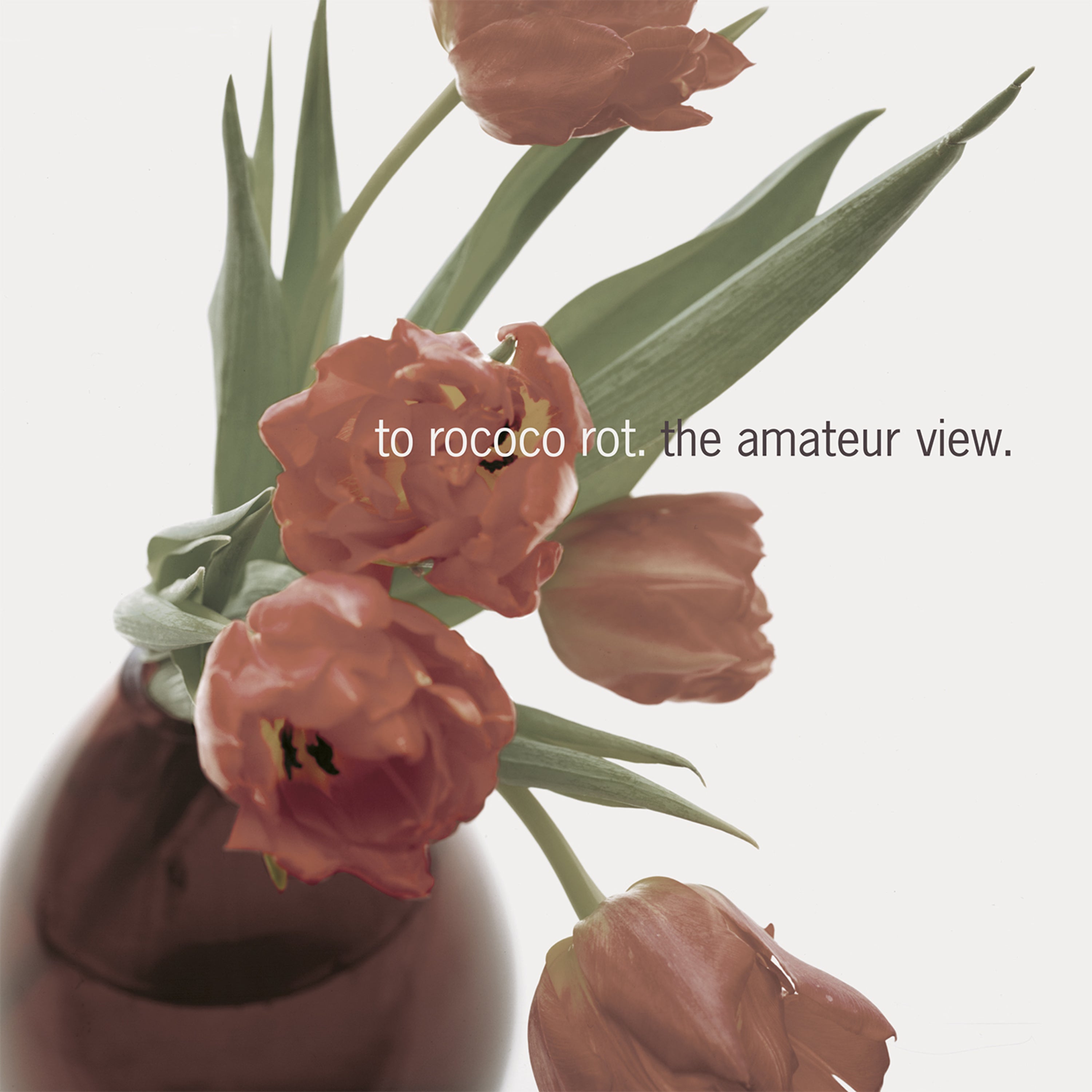 The Amateur View (Expanded Edition)