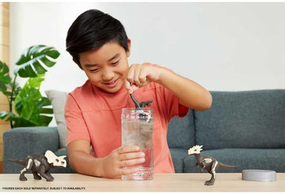 Mattel Jurassic World Dino Reveal Dinosaur Toys, Unpack Surprise & Warm Water Uncovers Full Decoration, 5 to 7 Inches, Species Vary, JDC52