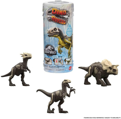 Mattel Jurassic World Dino Reveal Dinosaur Toys, Unpack Surprise & Warm Water Uncovers Full Decoration, 5 to 7 Inches, Species Vary, JDC52