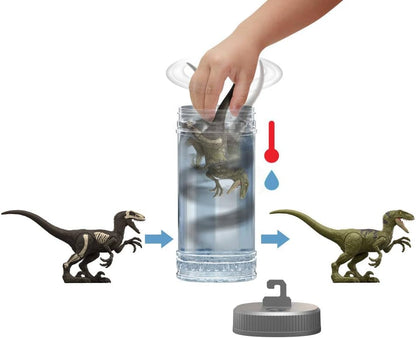 Mattel Jurassic World Dino Reveal Dinosaur Toys, Unpack Surprise & Warm Water Uncovers Full Decoration, 5 to 7 Inches, Species Vary, JDC52