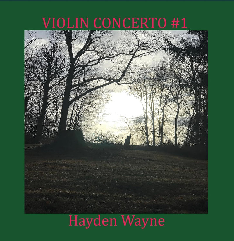 Violin Concerto #1