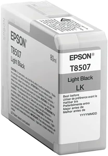 Epson Light Black Ink Cartridge C13T850700